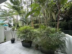 Beaufort On Nassim (D10), Condominium #560595871